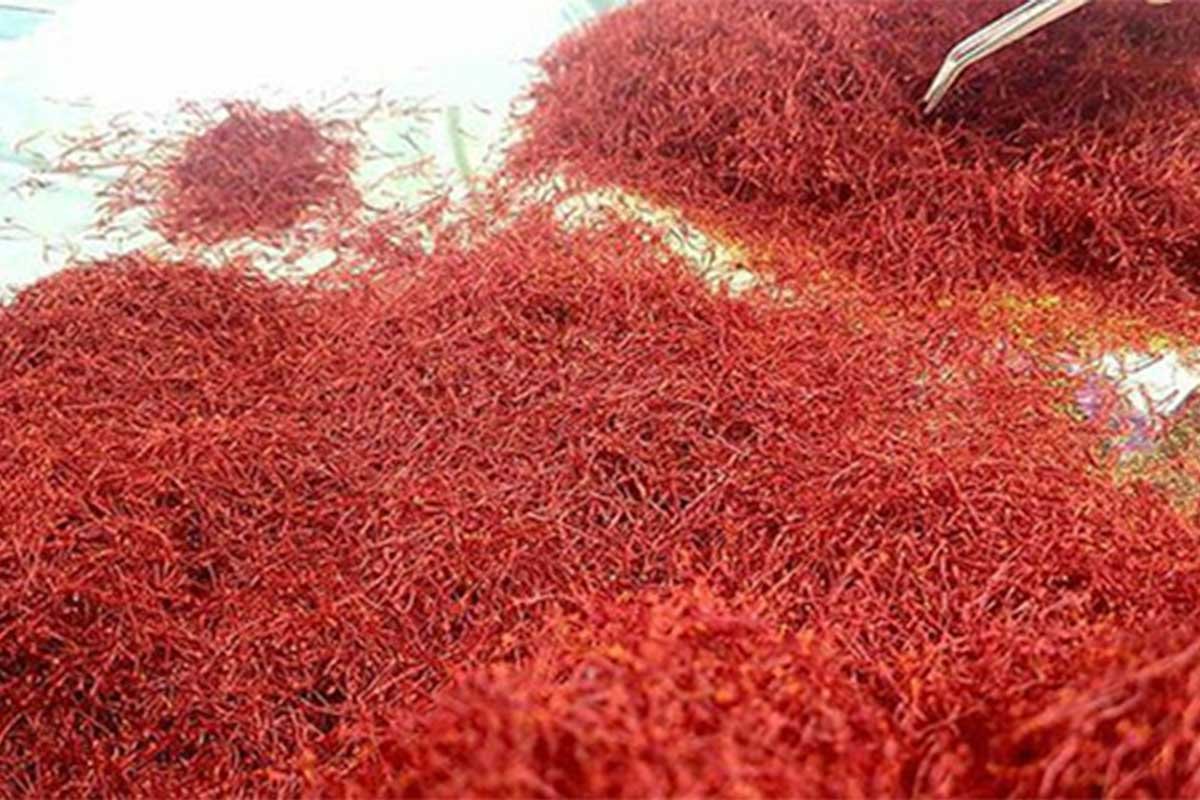 شراء-الزعفران-من-إيران