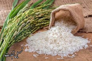 صادرات برنج ایران به عراق