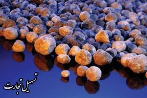 راهنمای جامع صادرات کلینکر به گرجستان