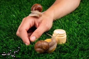 صادرات حلزون به عراق
