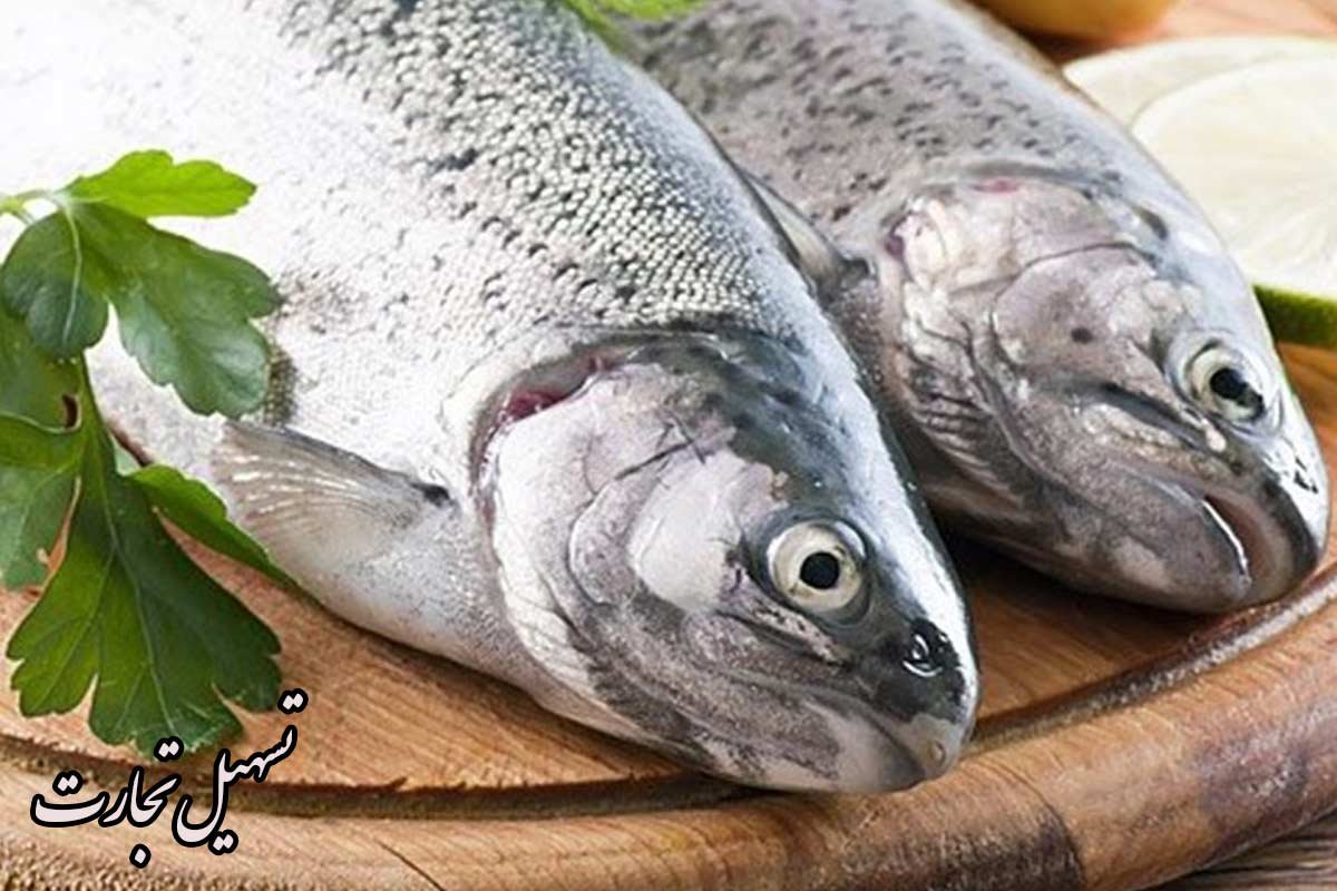 خریداران ماهی ایرانی در عراق