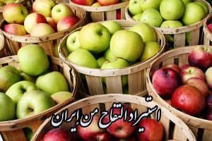 استيراد التفاح من إيران