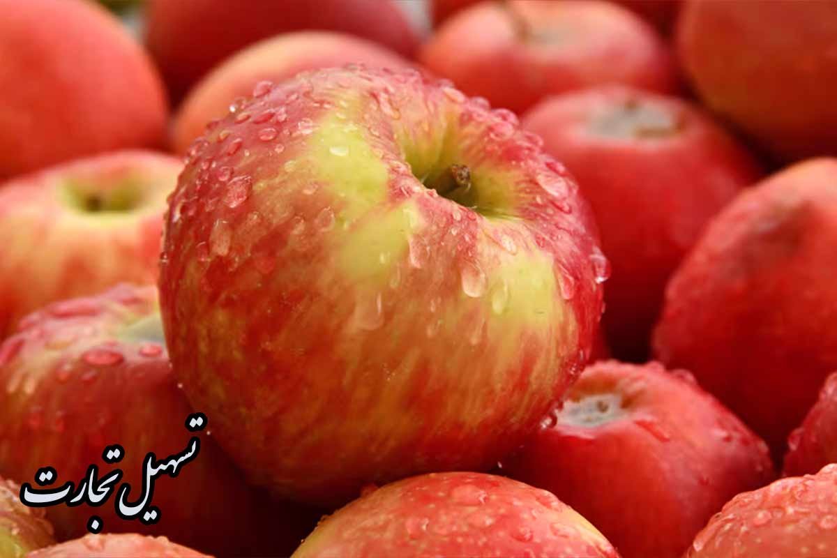 شراء التفاح الإيراني للتوزيع