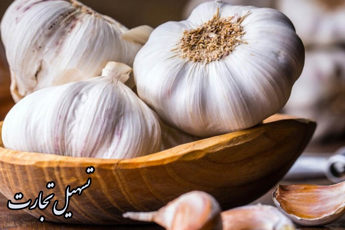 راهنمای صادرات سیر ایران به عراق