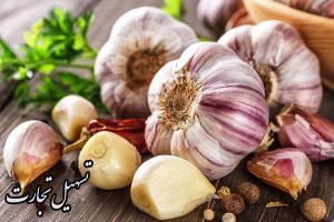 راهنمای صادرات سیر ایران به عراق