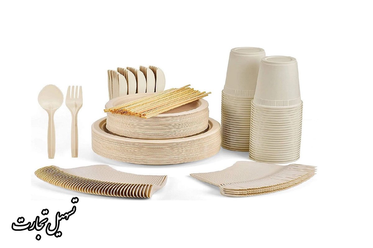 راهنمای صادرات ظروف یکبارمصرف ایران در عراق