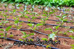 استيراد أنظمة الري بالتنقيط/الرش من إيران