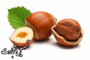 راهنمای صادرات فندق به عراق