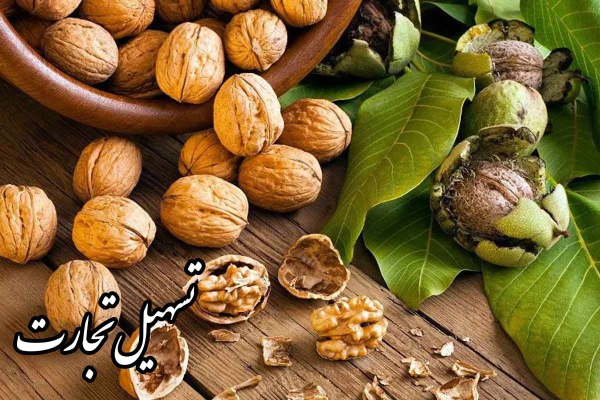راهنمای صادرات گردوی ایرانی به عراق