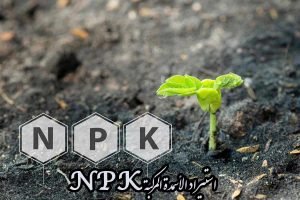 استيراد الأسمدة المركبة NPK من إيران + شركات توريد