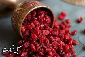 راهنمای صادرات زرشک ایرانی به عراق